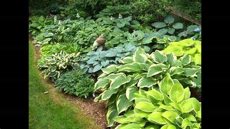 Small shade garden design ideas - YouTube