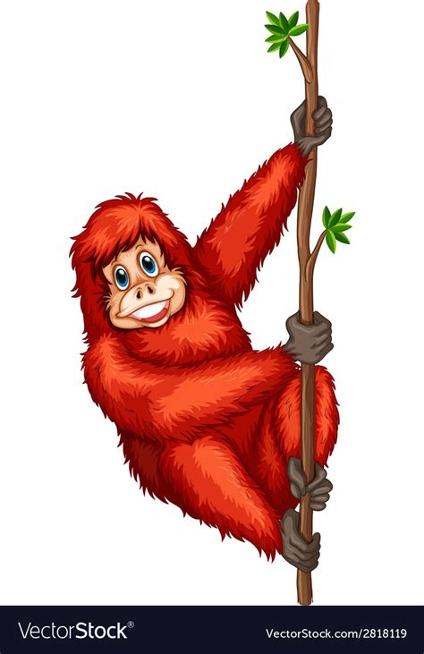 Orangutan Royalty Free Vector Image - VectorStock