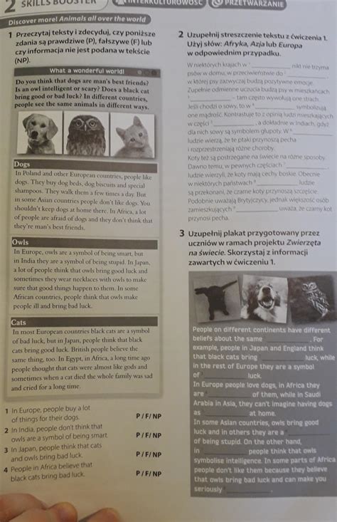 Angielski klasa 6 Brainy ćwiczenia str. 85 Zad.4 - Brainly.pl