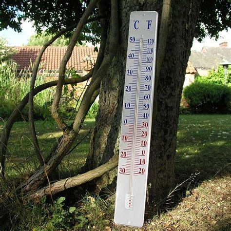 Buy Large Metal Garden Thermometer — The Worm That Turned