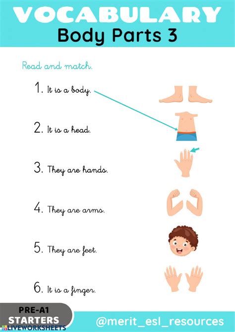 Click on the images to see the pdf versions with exercises. Body Parts - Read and match activity