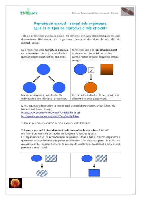 Pdf Reproducci Asexual I Sexual Dels Organismes Reproducci