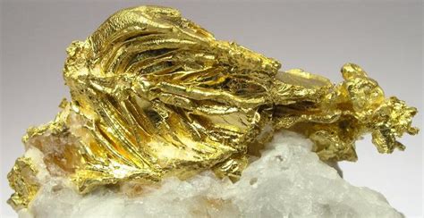 Specimen Fine Mineral Galleries In 2022 Gold Specimens