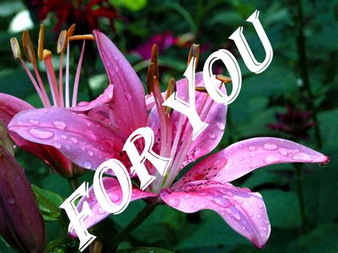 Once you've selected your blooms and added them to the shopping cart, click on the 'checkout' button. Flower for you… - DesiComments.com