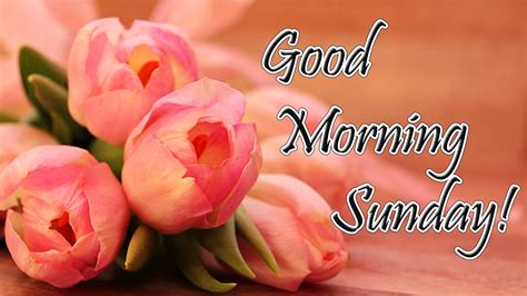 Sunday Good Morning Quotes Images Wishes Wallpaper Photo