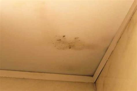 To remove the mildew and mold in your bathroom, and the stains it can leave behind, you will manually remove it with the scrub brushes and also i think you have to do it once in a while, but just be aware of this side effect. mold on ceiling dangerous