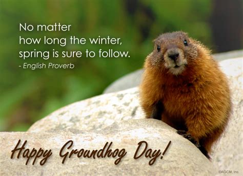 Happy Groundhog Day Prompt Proofing
