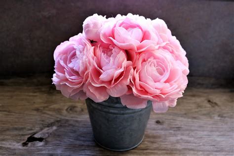 Pink Peony Flowers On Wood Free Stock Photo Public Domain Pictures