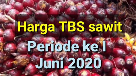 Lembaga minyak sawit malaysia (mpob) yakin harga minyak sawit mentah (msm) mampu kekal pada paras rm2,800 satu tan. harga sawit hari ini bulan Juni 2020 terbaru - YouTube