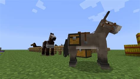 See full list on wikihow.com How To Tame a Horse in MineCraft 1.6 - YouTube