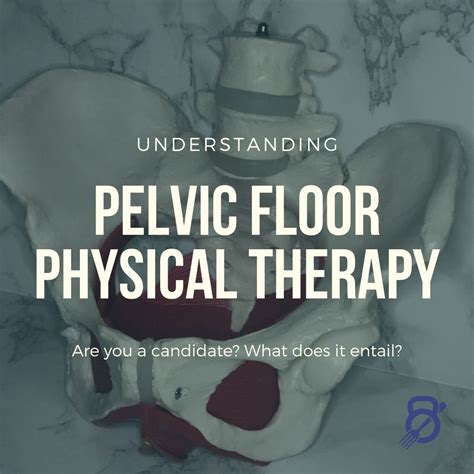 What Is Pelvic Floor Physical Therapy Dr Amy Osborne