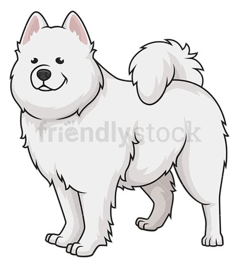 gorgeous samoyed dog cartoon clipart vector friendlystock