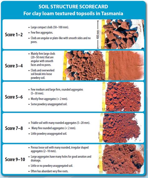 Characteristics Of Soil Types