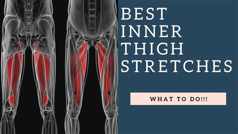 They originate at the ilium (upper part of the pelvis, or hipbone) and femur (thighbone), come together in a tendon surrounding the patella (kneecap), and insert at (are attached to) the… Best Inner Thigh Stretches For Tight Groin & Hip Adductor ...