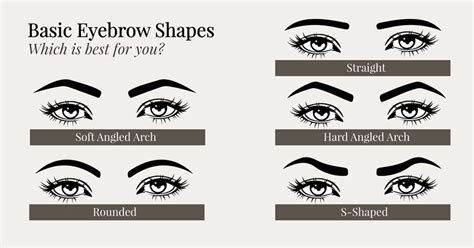 Eyebrow Shapes Different Eyebrow Shapes