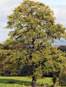 British Tree Identification Biological Science Picture Directory