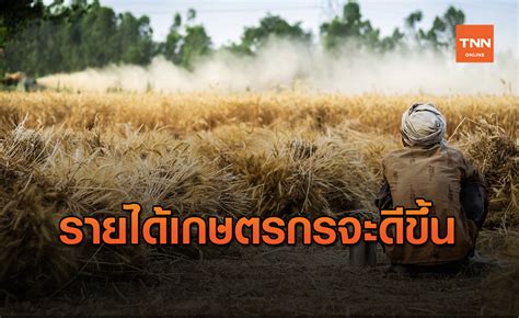 ศูนย์วิจัยกสิกรไทย คาดรายได้เกษตรกรปี 64 ดีขึ้น