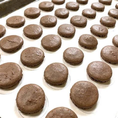 Chocolate Cookies Are Lined Up On A Cookie Sheet And Ready To Go Into