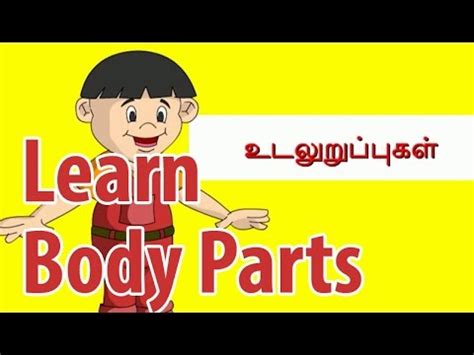 Find the human body parts (external organs) names in the tamil language. Learn Body Parts | Learn Parts of the Body for Children in ...