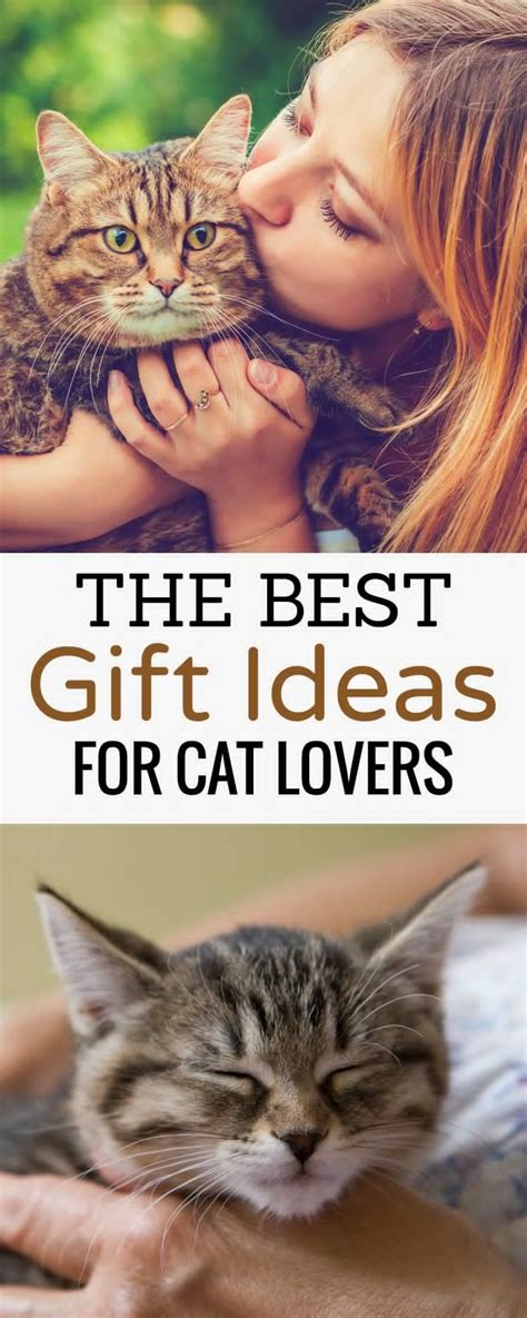 The sustainability app turning us all into virtual tree huggers. The Best Gifts for the Cat Lovers in Your Life | Cat ...