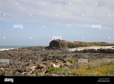 Aupori Peninsula North Island New Zealand May A Group Of Tourists