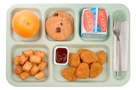 Why Primary Schools Want Pupils To Ditch The Packed Lunch For A Hot Dinner Today