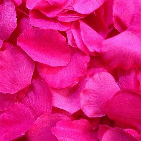 Pink Aesthetic Silk Rose Petals Silk Roses Pink Petals Pastel Pink