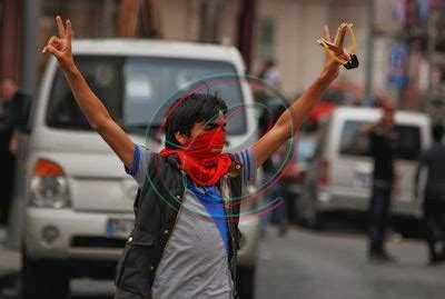Elvan, 5 ocak 1999 tarihinde i̇stanbul'da dünyaya geldi. Berkin Elvan'ın Gerçek Yüzü: Mart 2014