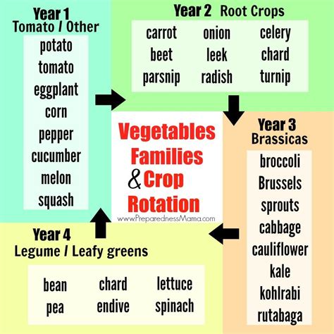 Vegetable Families and Crop Rotation | PreparednessMama i 2020