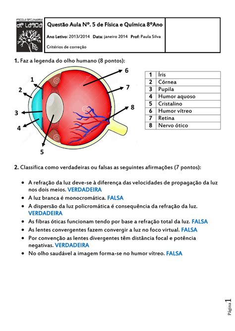 Anatomia Do Olho Humano Quiz E Atividades Kenhub Images And Photos Finder