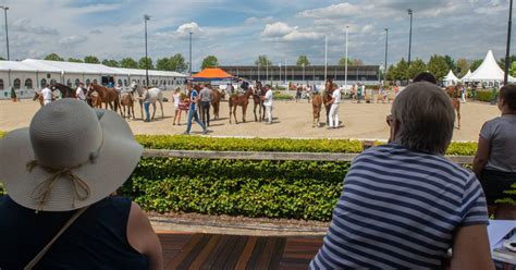 Maikel van der vleuten is a dutch show jumping rider. Titelverdediger Maikel van der Vleuten grijpt eerste vette ...