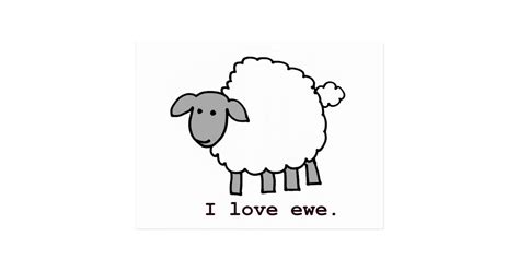 I Love Ewe Sheep Postcard