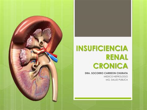 Ppt Insuficiencia Renal Cronica Powerpoint Presentation Id