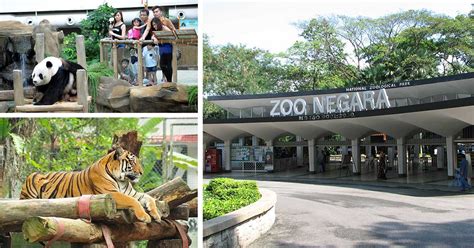 You must present this voucher at the entrance's counter no. Zoo Negara rayu sumbangan bekalan makanan bagi haiwan ...