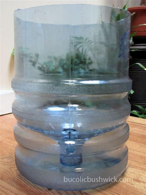 Diy Self Watering Container Water Cooler Bottle Bucolic Bushwick A
