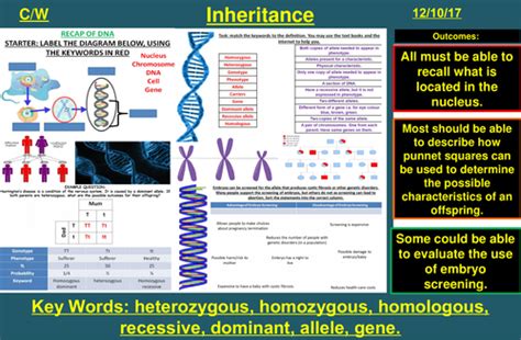 Genetic Inheritance Inherited Disorders Sex Determination Aqa B2 4