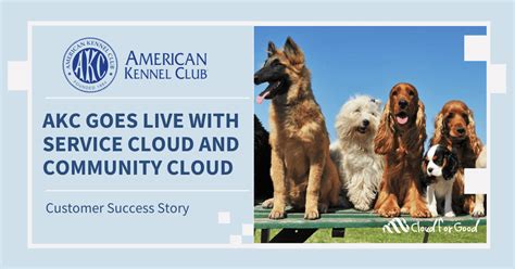 Celebrating National Dog Day American Kennel Club Goes Live With