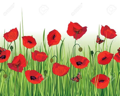 Download Free Poppy Flower Cliparts, Download Free Poppy Flower ...