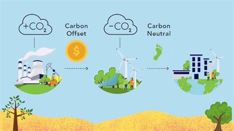 Carbon Credit Market Market 2022 Reflects Significant Growth In The