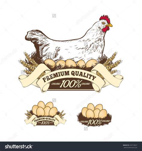Chicken Farm Premium Quality Fresh Eggs Stock Vector 433718827
