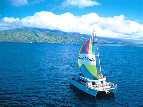 Four Winds Ii Snorkel At Molokini Reviews Wailuku Maui Attractions