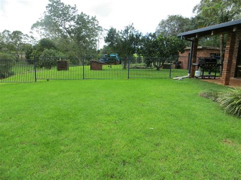 Options to suit all budgets. Finding Fifth: The Chicken Run