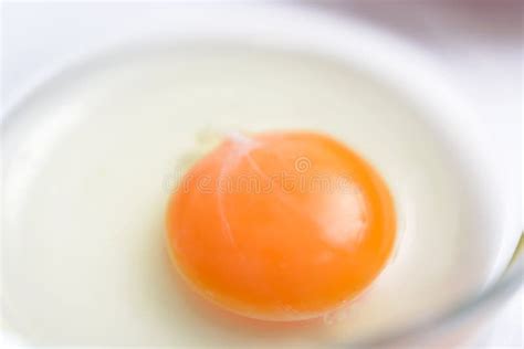 Fresh Chicken Egg Stock Image Image Of Dining Agriculture 127374593