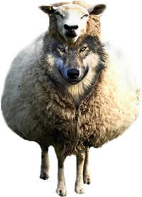 A wolf in sheep's clothing: F4J News - Is there a wolf in sheep's clothing in the ...