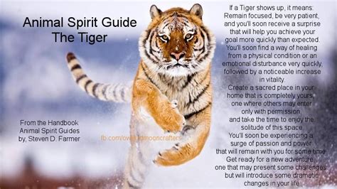 The Tiger Tiger Spirit Animal Animal Totem Spirit Guides Animal
