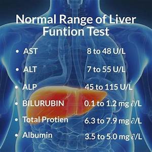 Liver Function Test Normal Range Pippa 