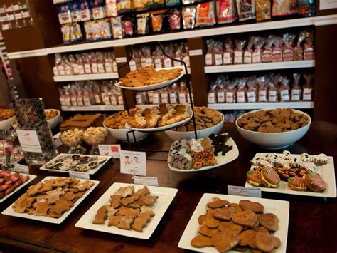 How To Plan A Paw-Some Vacation in Kissimmee, Florida | Experience