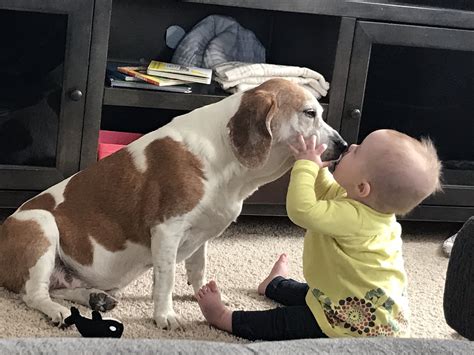 Justin Nunley (@JustinRNunley) / Twitter