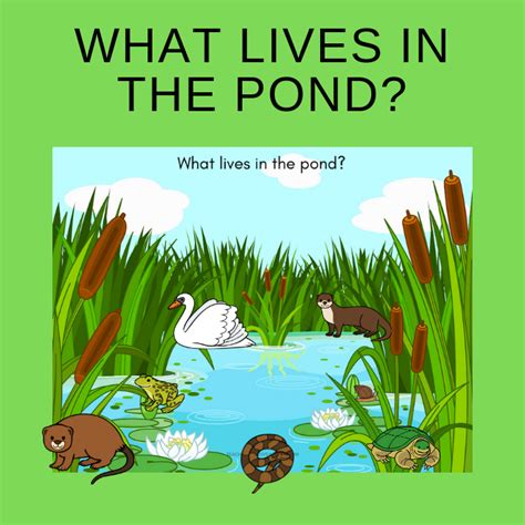 Free Pond Life Printables Printable Templates