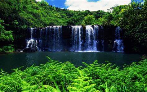 Hawaiian Waterfall Wallpaper And Background Image 1680x1050 Id